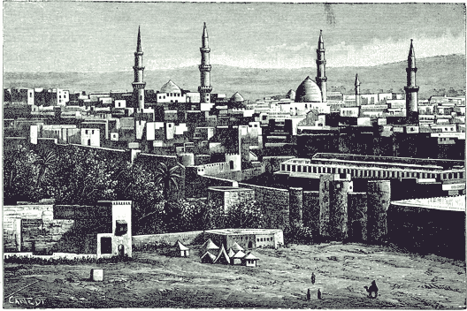 Panorama di Medina