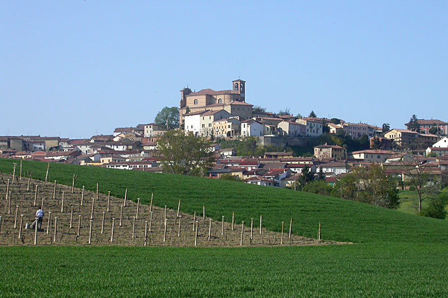 Panorama sul paese e le vigne
